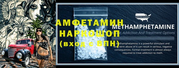 СК Новозыбков