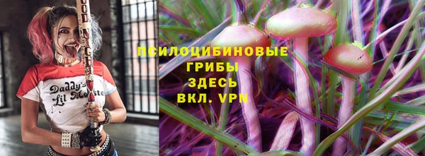 СК Новозыбков