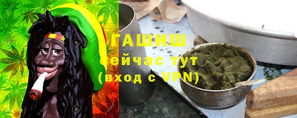 СК Новозыбков
