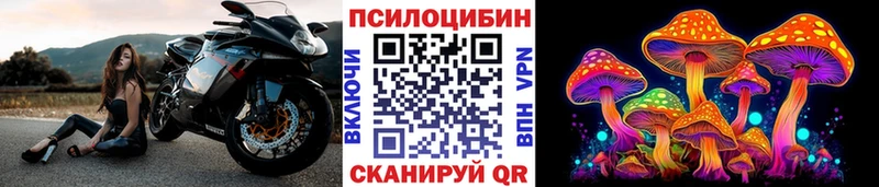 Псилоцибиновые грибы Psilocybe  кракен ONION  Краснослободск  цены наркотик 